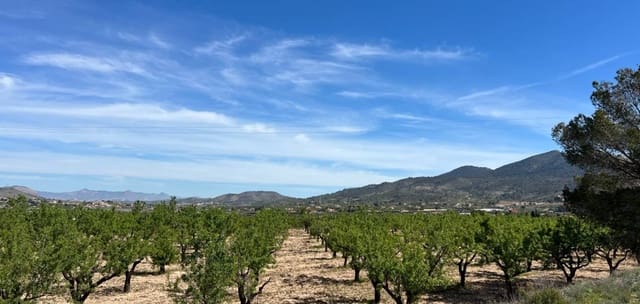 Byggegrund til salg i Hondón de los Frailes - € 46.000 (Ref: 9694048)