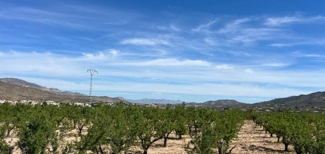 Byggegrund til salg i Hondón de los Frailes - € 46.000 (Ref: 9694048)