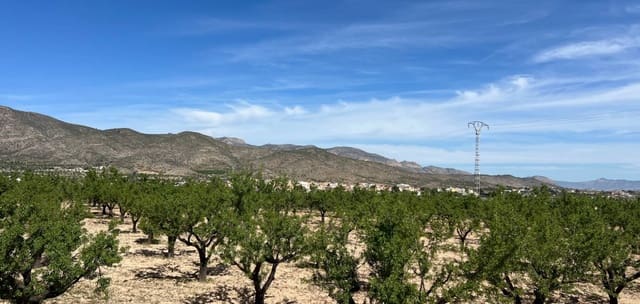 Byggegrund til salg i Hondón de los Frailes - € 46.000 (Ref: 9694048)