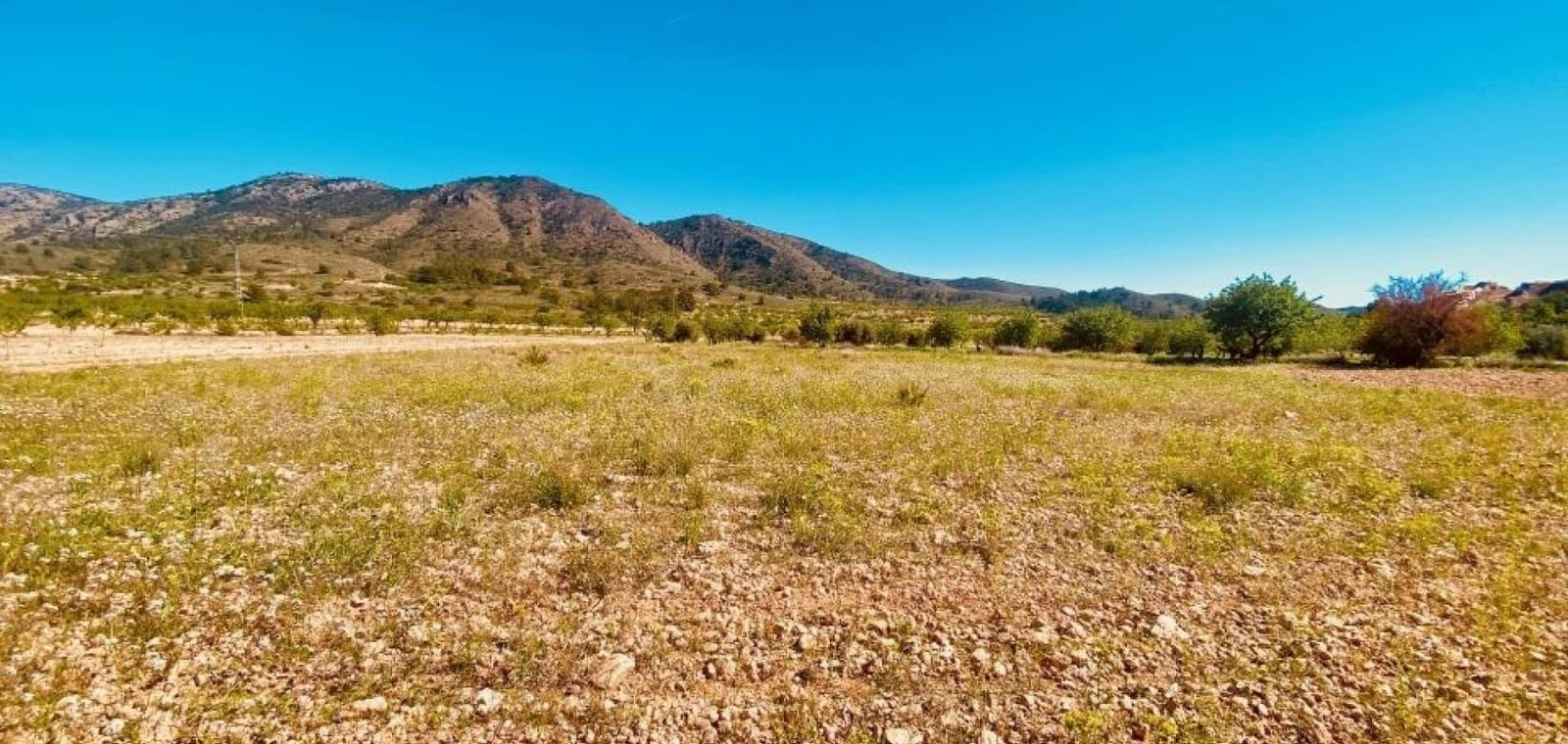 5 slaapkamer Villa te koop in El Canton met zwembad garage - € 475.000 (Ref: 9707933)