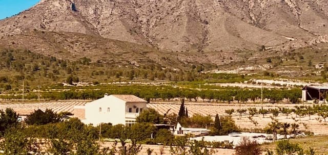 5 bedroom Villa for sale in El Cantón, Abanilla with pool garage - € 475,000 (Ref: 9707933)