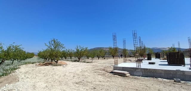 3 sypialnia Willa na sprzedaż w Pinoso z basenem - 425 000 € (Ref: 9797430)