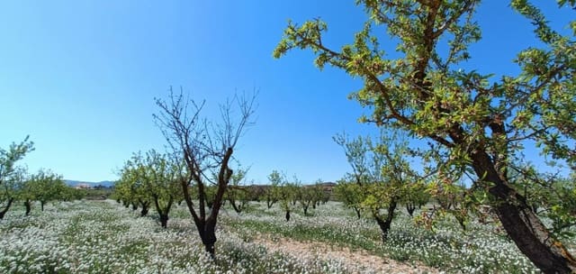 3 sypialnia Willa na sprzedaż w Pinoso z basenem - 425 000 € (Ref: 9797430)