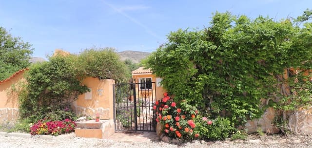 5 bedroom Finca/Country House for sale in La Canalosa, Hondón de las Nieves with pool - € 399,500 (Ref: 9801442)