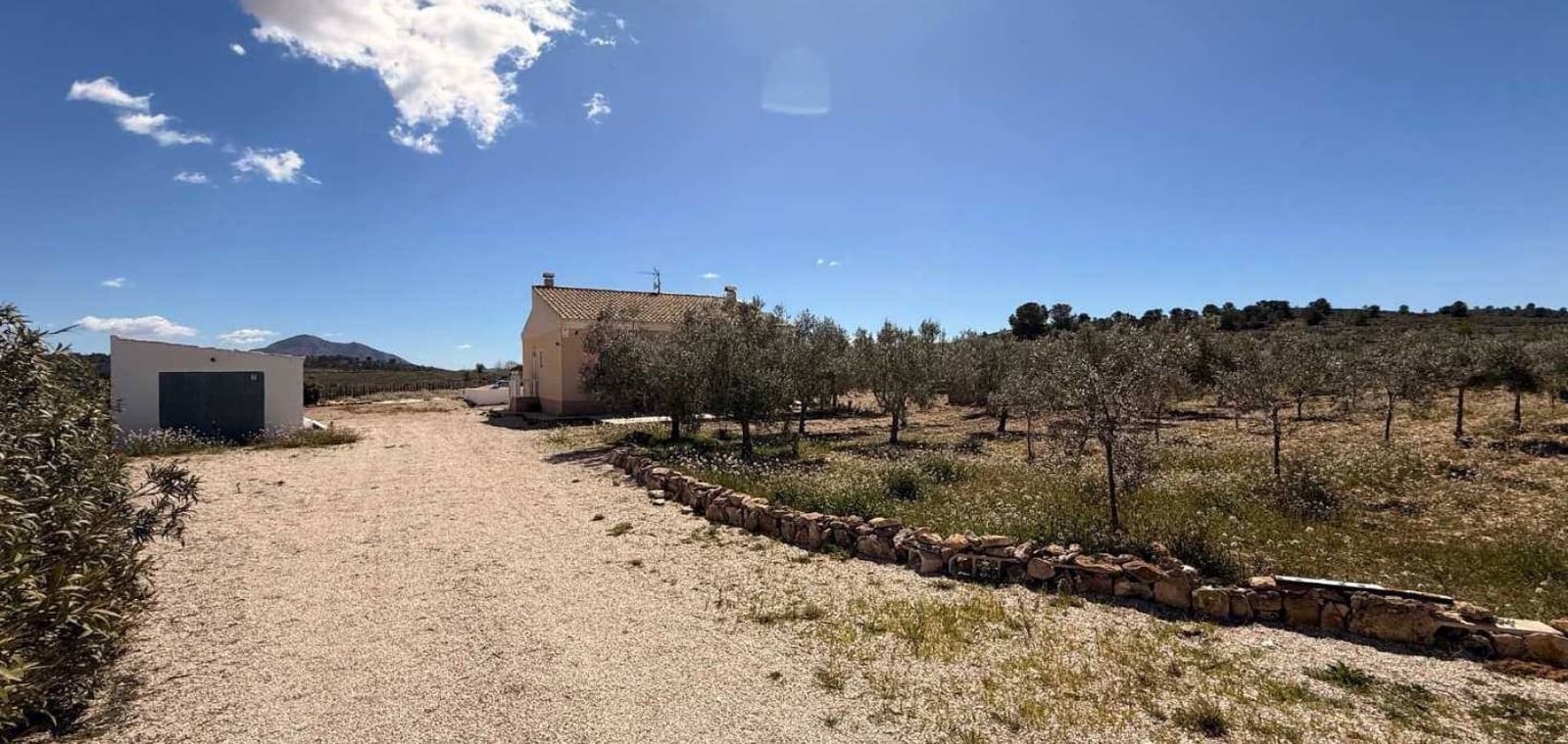 Chalet de 3 habitaciones en Pinoso en venta con piscina garaje - 250.000 € (Ref: 9823859)