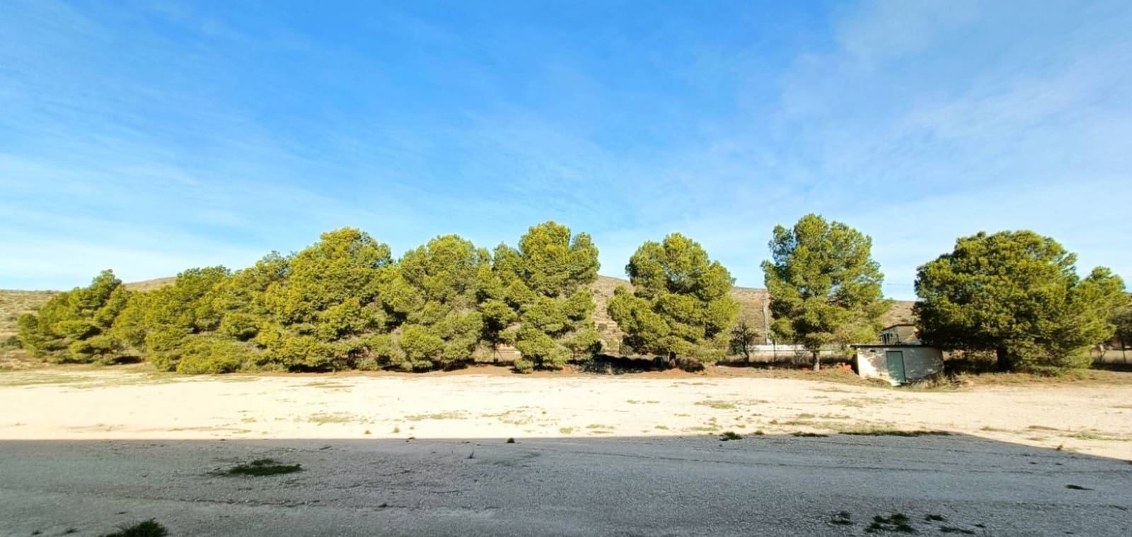 Commercial for sale in Hondon de los Frailes - € 300,000 (Ref: 9854388)