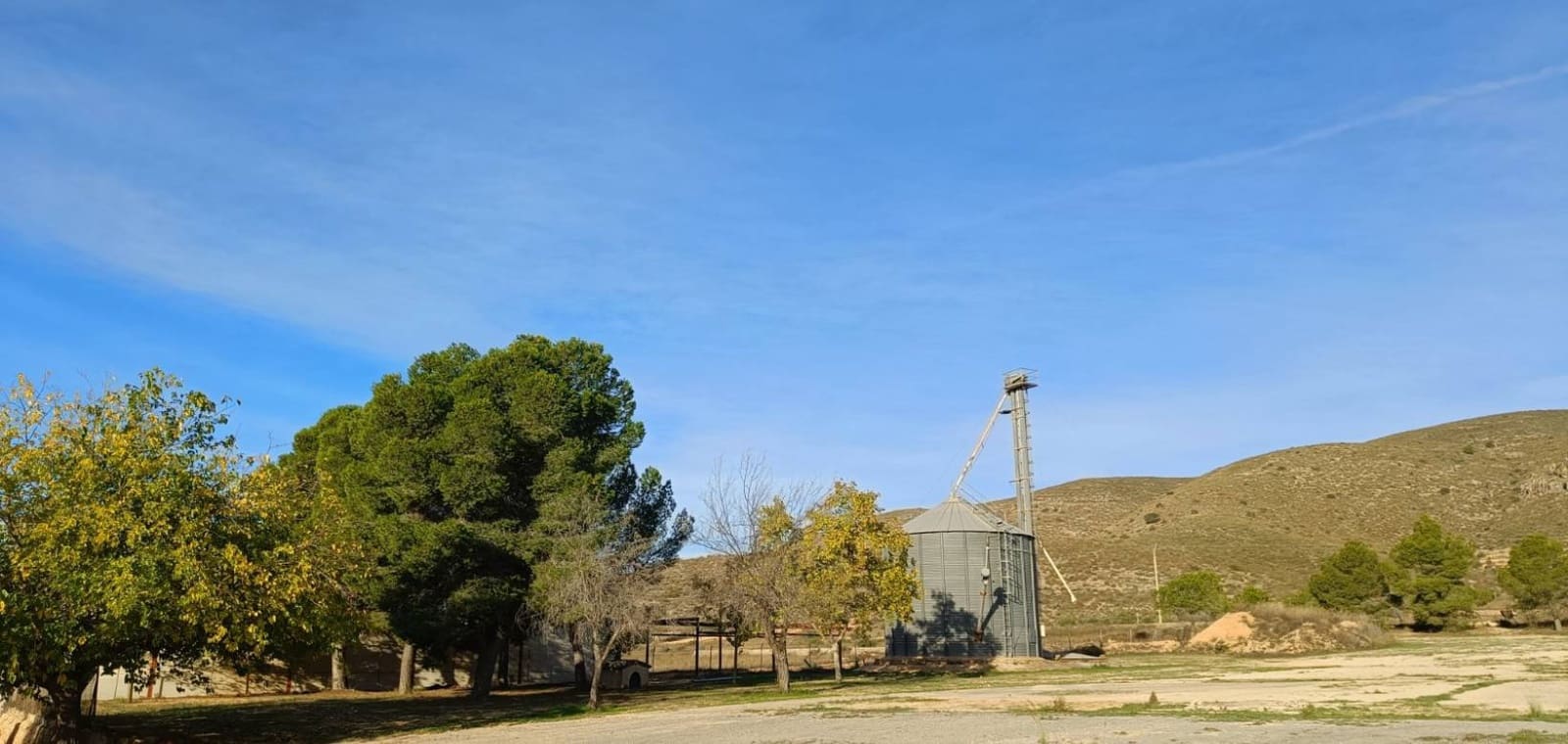 Commercial for sale in Hondon de los Frailes - € 300,000 (Ref: 9854388)