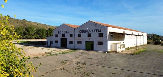 Commercial for sale in Hondón de los Frailes - € 300,000 (Ref: 9854388)