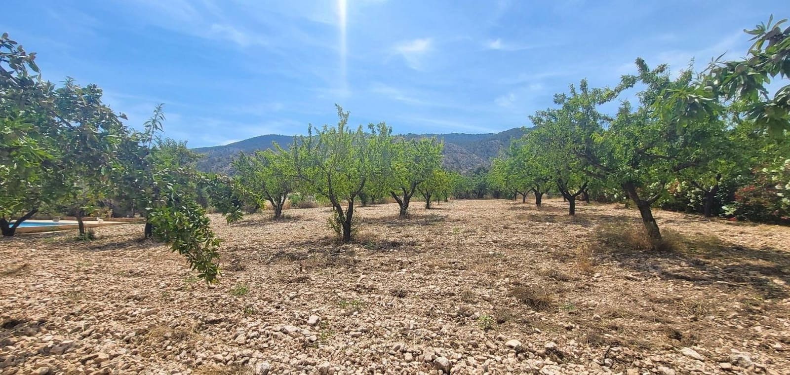 4 sovrum Villa till salu i Hondon de las Nieves - 425 000 € (Ref: 9883562)