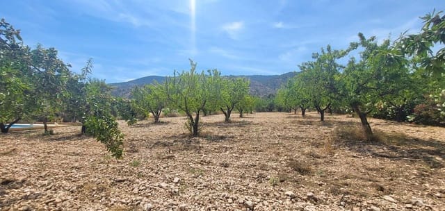 4 sovrum Villa till salu i Hondón de las Nieves - 425 000 € (Ref: 9883562)