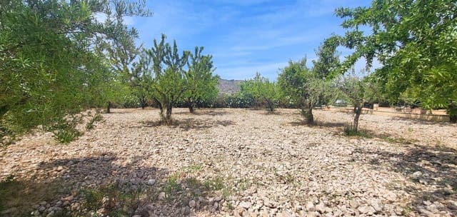 4 sovrum Villa till salu i Hondón de las Nieves - 425 000 € (Ref: 9883562)