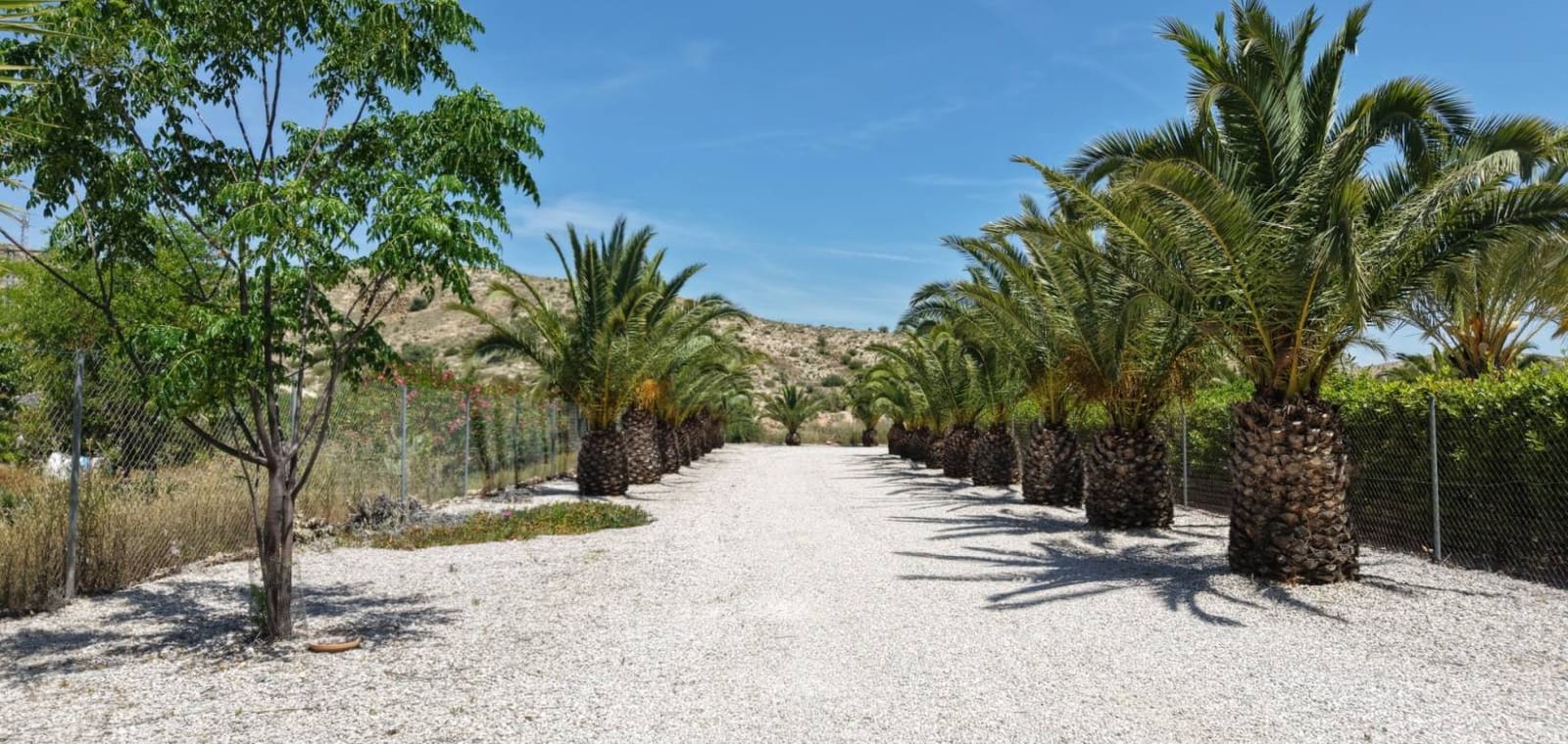 5 slaapkamer Villa te koop in Hondon de las Nieves met zwembad garage - € 475.000 (Ref: 9895426)