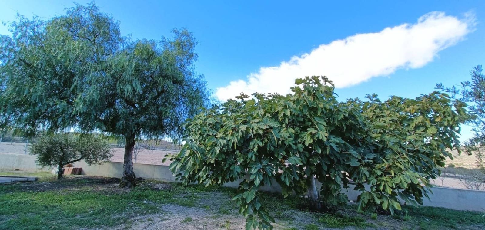 4 Zimmer Villa zu verkaufen in Hondon de los Frailes - 245.000 € (Ref: 9897225)