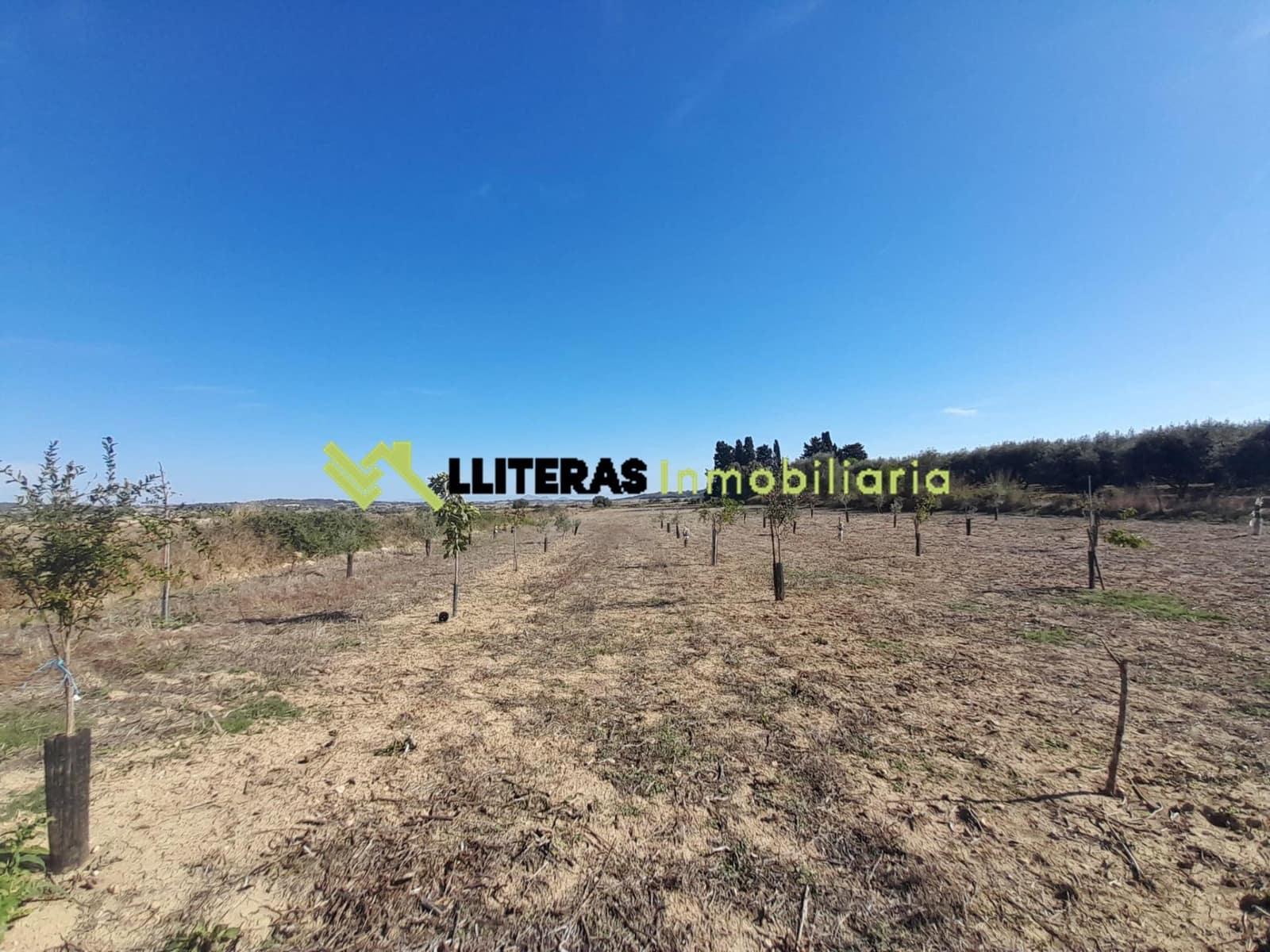 Teren niezagospodarowany na sprzedaż w Maria de la Salud / Maria de la Salut - 20 000 € (Ref: 10139745)