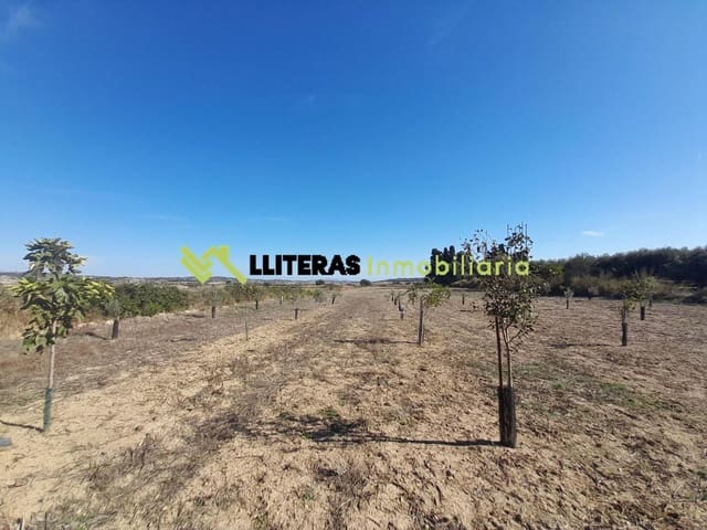 Terreno/Finca Rústica en María de la Salud / María de la Salut en venta - 20.000 € (Ref: 10139745)