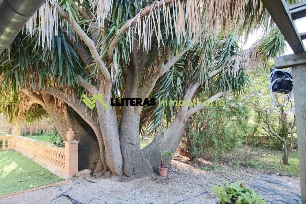 3 soveværelse Finca/Landehus til salg i Inca med swimmingpool garage - € 795.000 (Ref: 5186373)