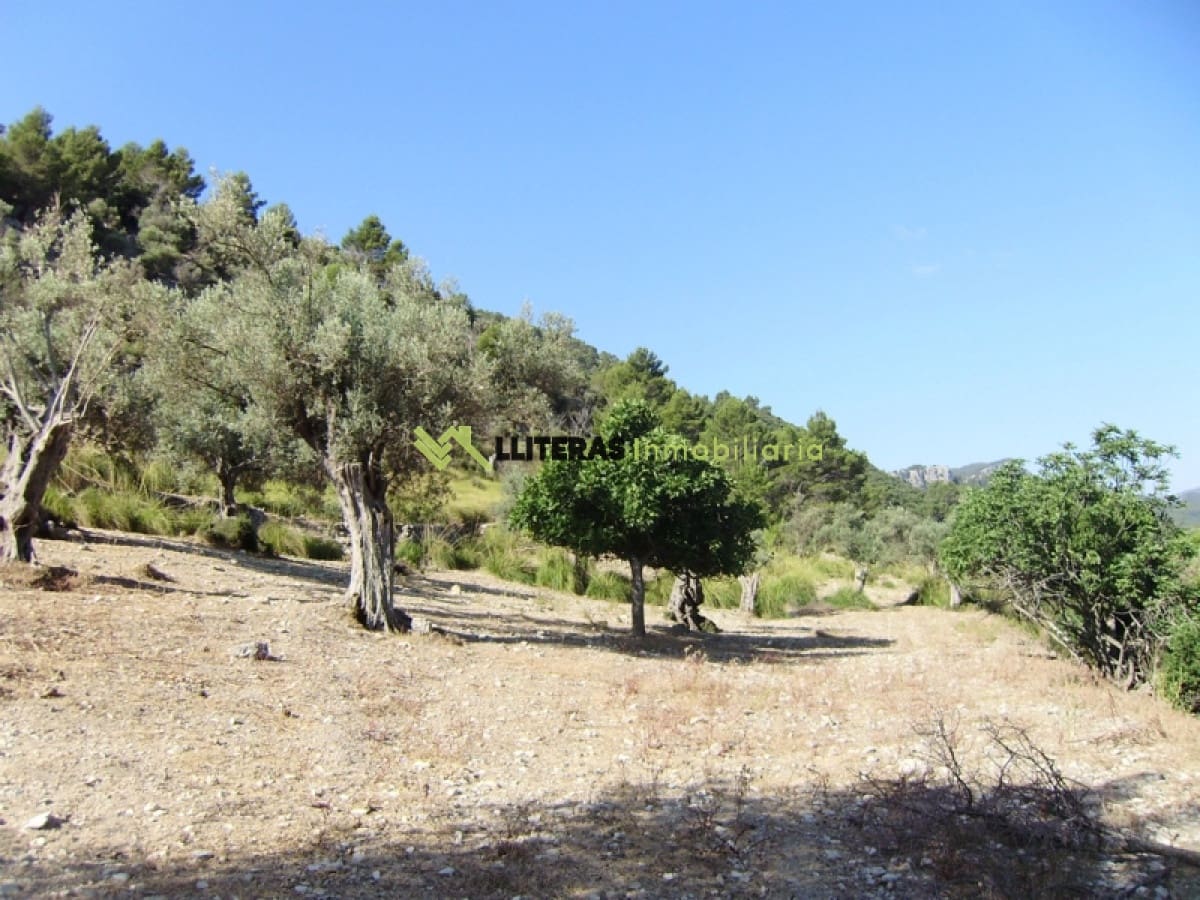 Finca/Landehus til salg i Orient - € 1.490.000 (Ref: 6163031)