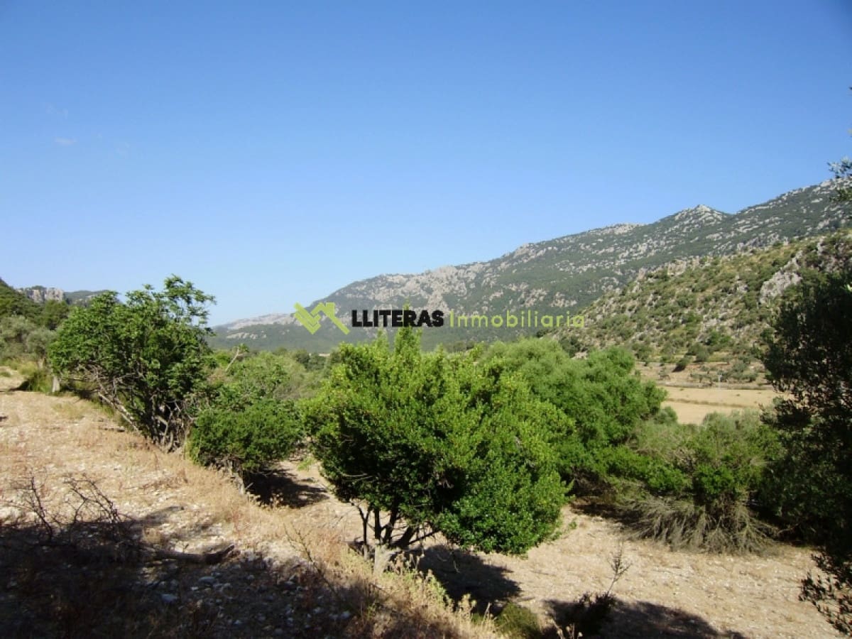 Finca/Landehus til salg i Orient - € 1.490.000 (Ref: 6163031)