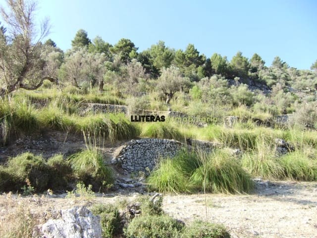 Finca/Landehus til salg i Orient, Bunyola - € 1.490.000 (Ref: 6163031)