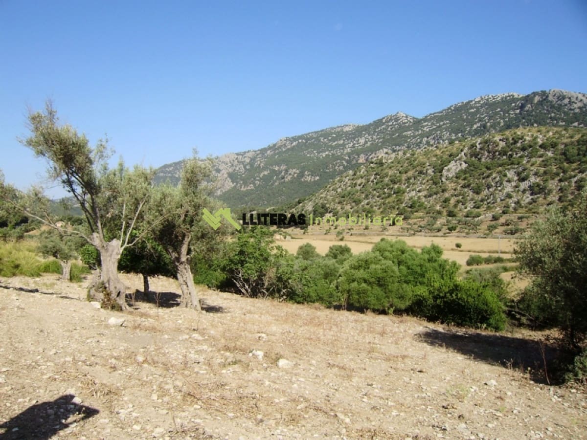 Finca/Landehus til salg i Orient - € 1.490.000 (Ref: 6163031)