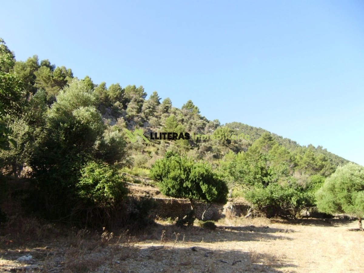 Finca/Landehus til salg i Orient - € 1.490.000 (Ref: 6163031)