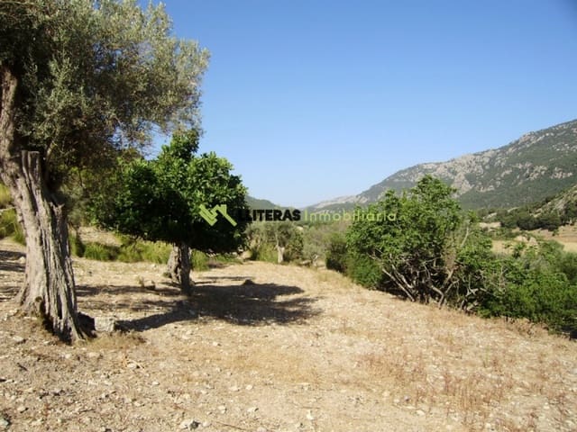 Finca/Landehus til salg i Orient, Bunyola - € 1.490.000 (Ref: 6163031)