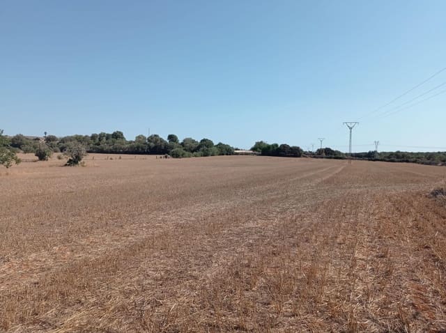 Building Plot for sale in Llubí - € 296,000 (Ref: 8454884)