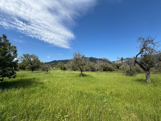 Bouwgrond te koop in Moscari, Selva - € 395.000 (Ref: 9264488)