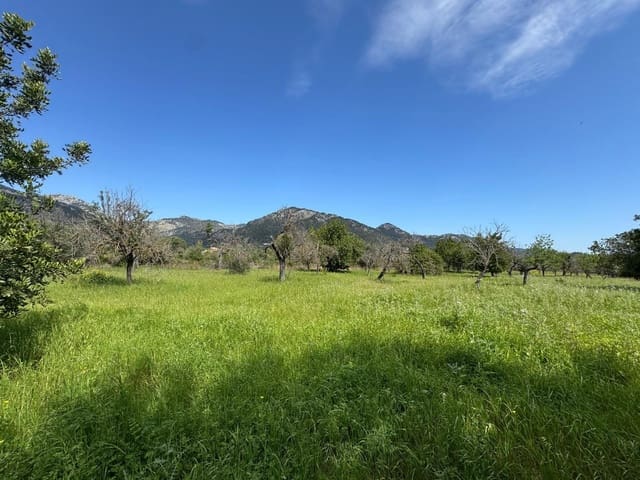 Bouwgrond te koop in Moscari, Selva - € 395.000 (Ref: 9264488)