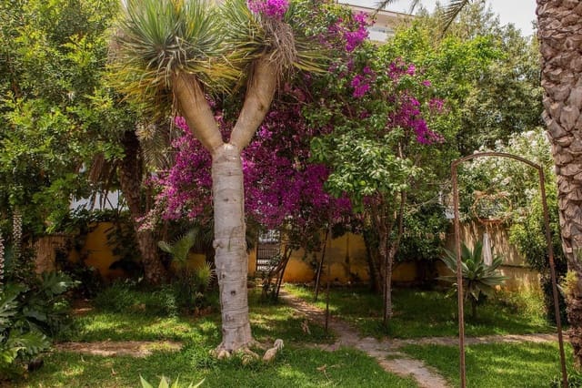 7 soverom Villa til salgs i Ca'n Picafort, Santa Margalida med garasje - € 670 000 (Ref: 9359584)