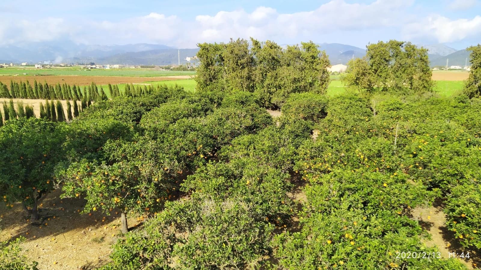 4 camera da letto Finca/Casa di Campagna in vendita in Sa Pobla - 875.000 € (Rif: 9508864)