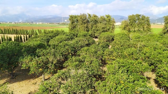 4 camera da letto Finca/Casa di Campagna in vendita in Sa Pobla - 875.000 € (Rif: 9508864)