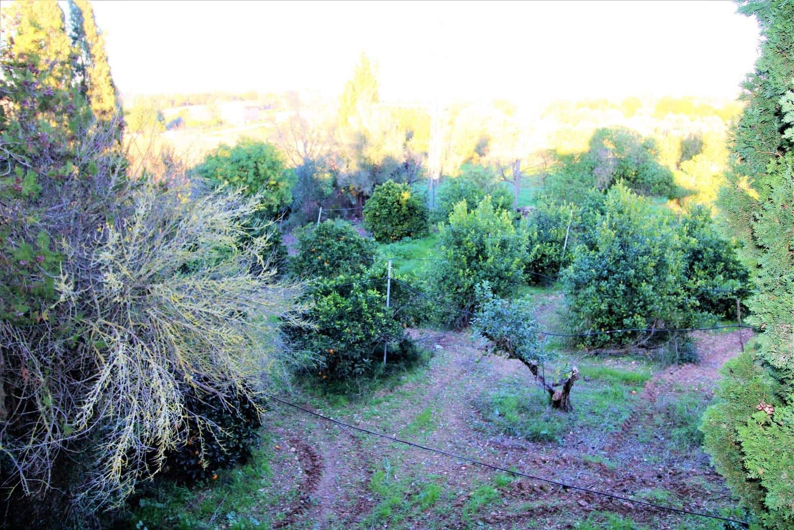 5 soveværelse Finca/Landehus til salg i Llubi med swimmingpool - € 690.000 (Ref: 9030518)