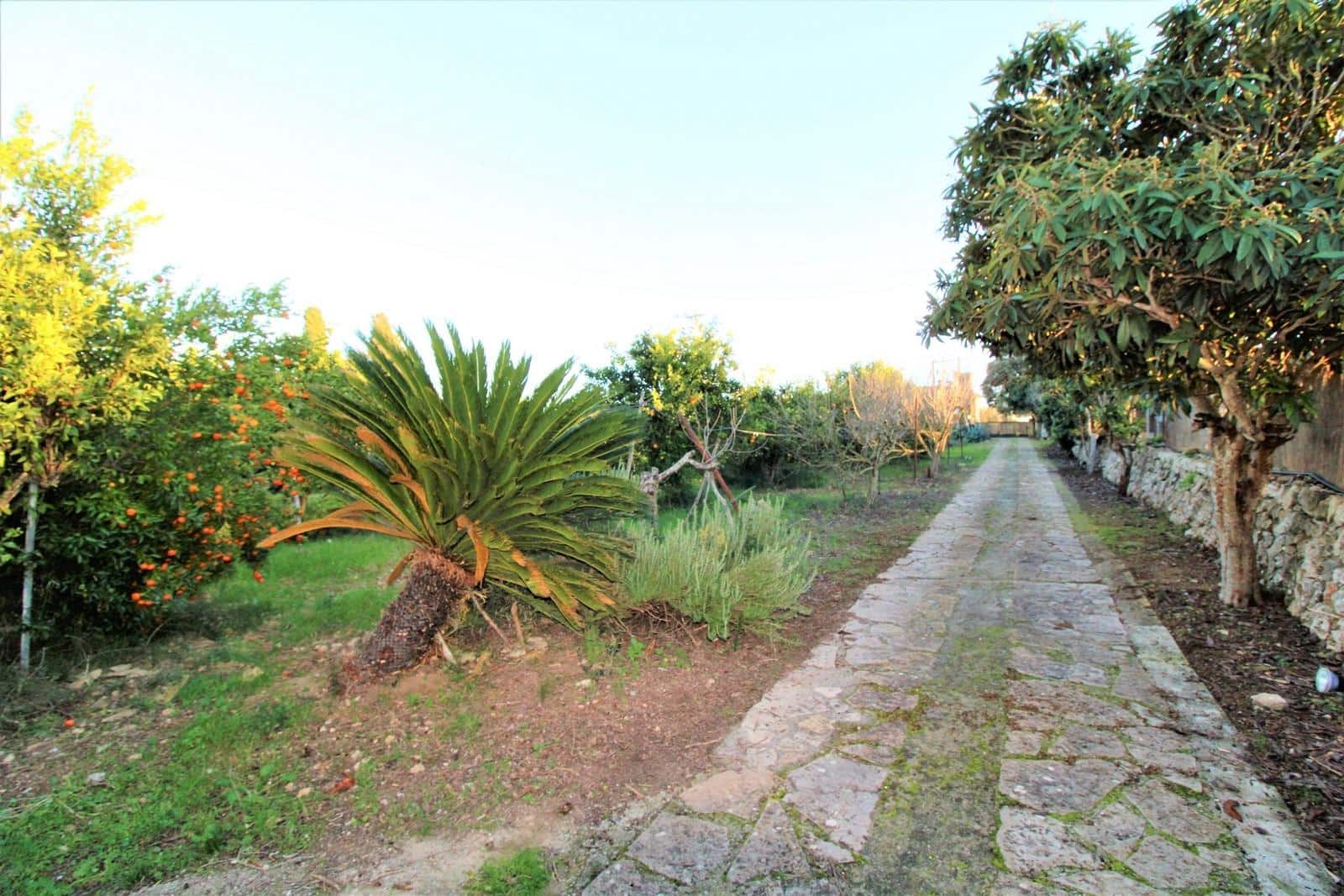 Finca/Casa Rural de 5 habitaciones en Llubí en venta con piscina - 690.000 € (Ref: 9030518)