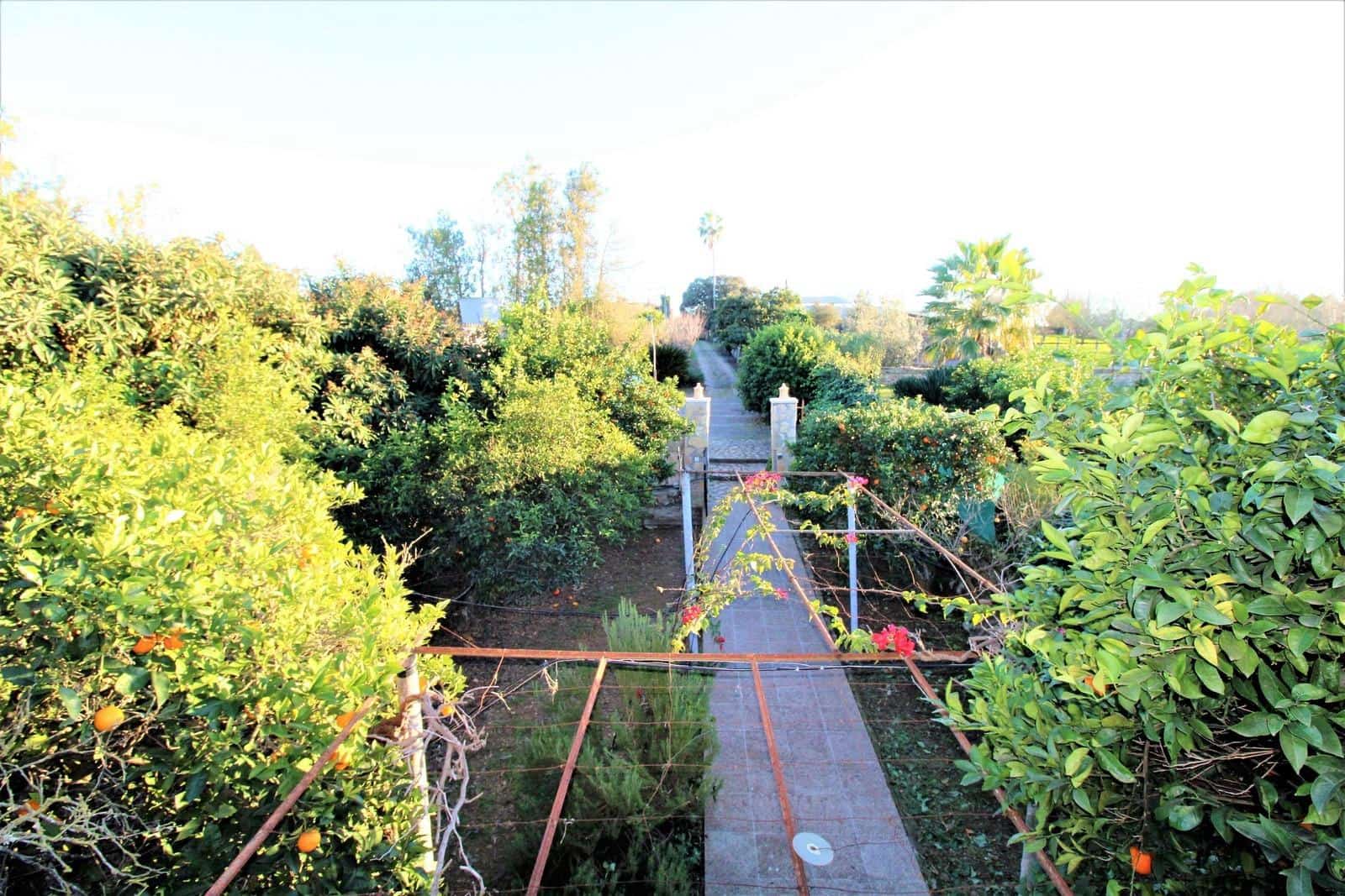 Finca/Casa Rural de 5 habitaciones en Llubí en venta con piscina - 690.000 € (Ref: 9030518)