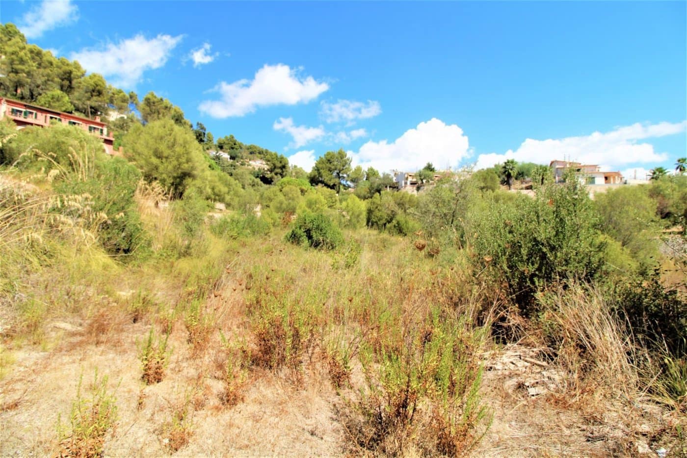 Bauplatz zu verkaufen in Galilea - 250.000 € (Ref: 9031390)