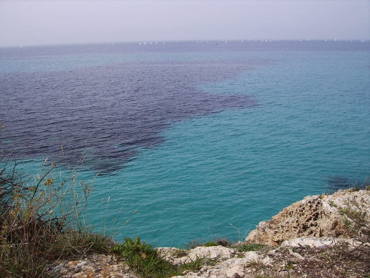 2 bedroom Flat for rent in Bellavista - € 1,600 (Ref: 9334916)