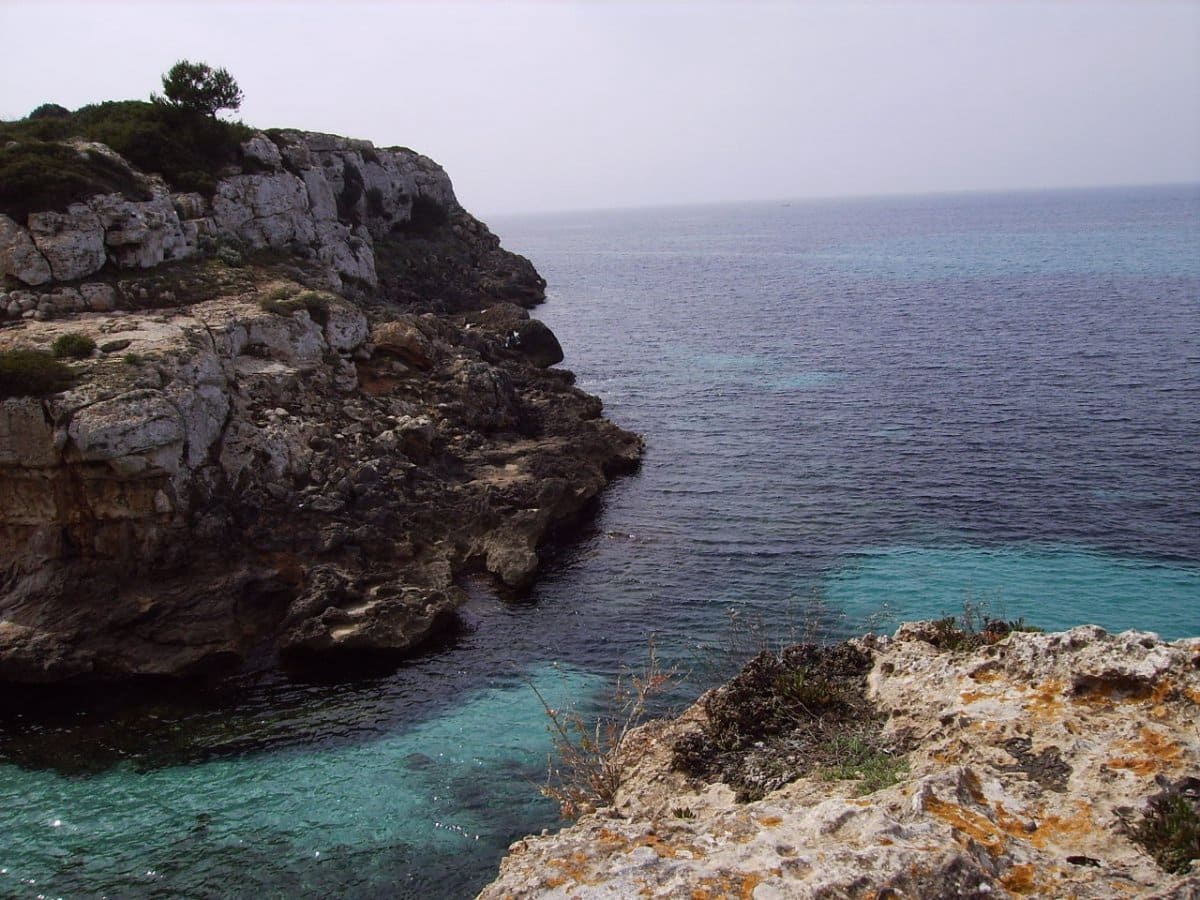 2 bedroom Flat for rent in Bellavista - € 1,600 (Ref: 9334916)