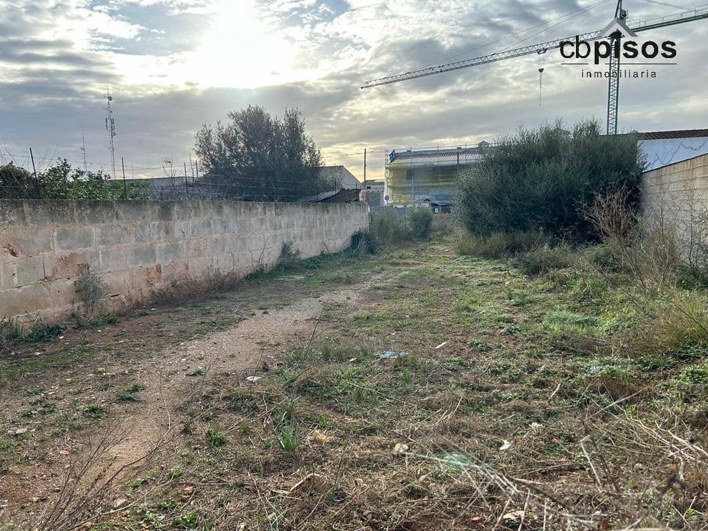 Byggetomt til salgs i Ses Salines - € 550 000 (Ref: 8053463)