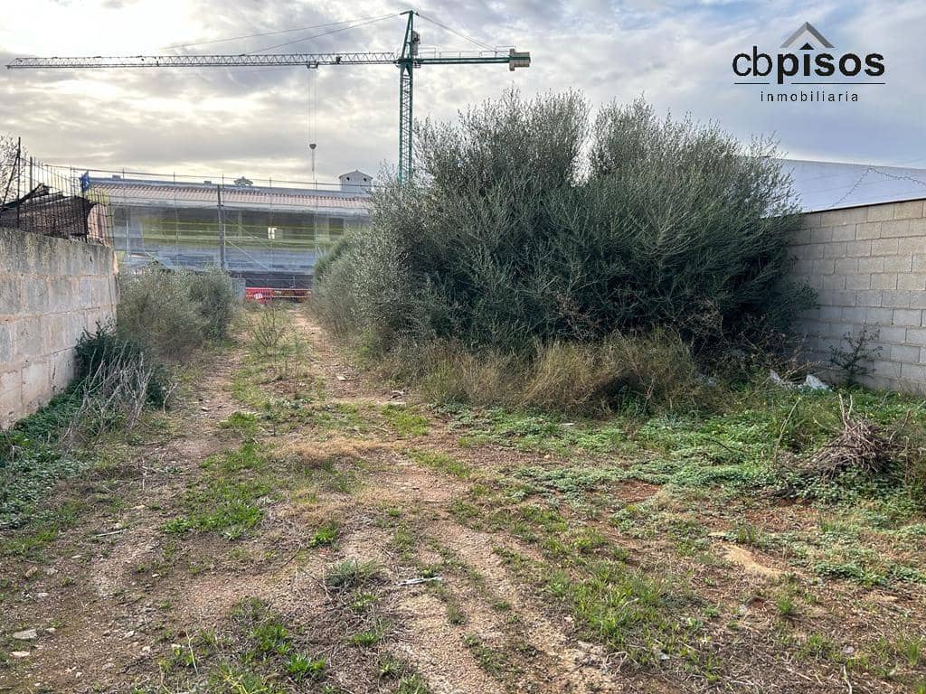 Byggetomt til salgs i Ses Salines - € 550 000 (Ref: 8053463)