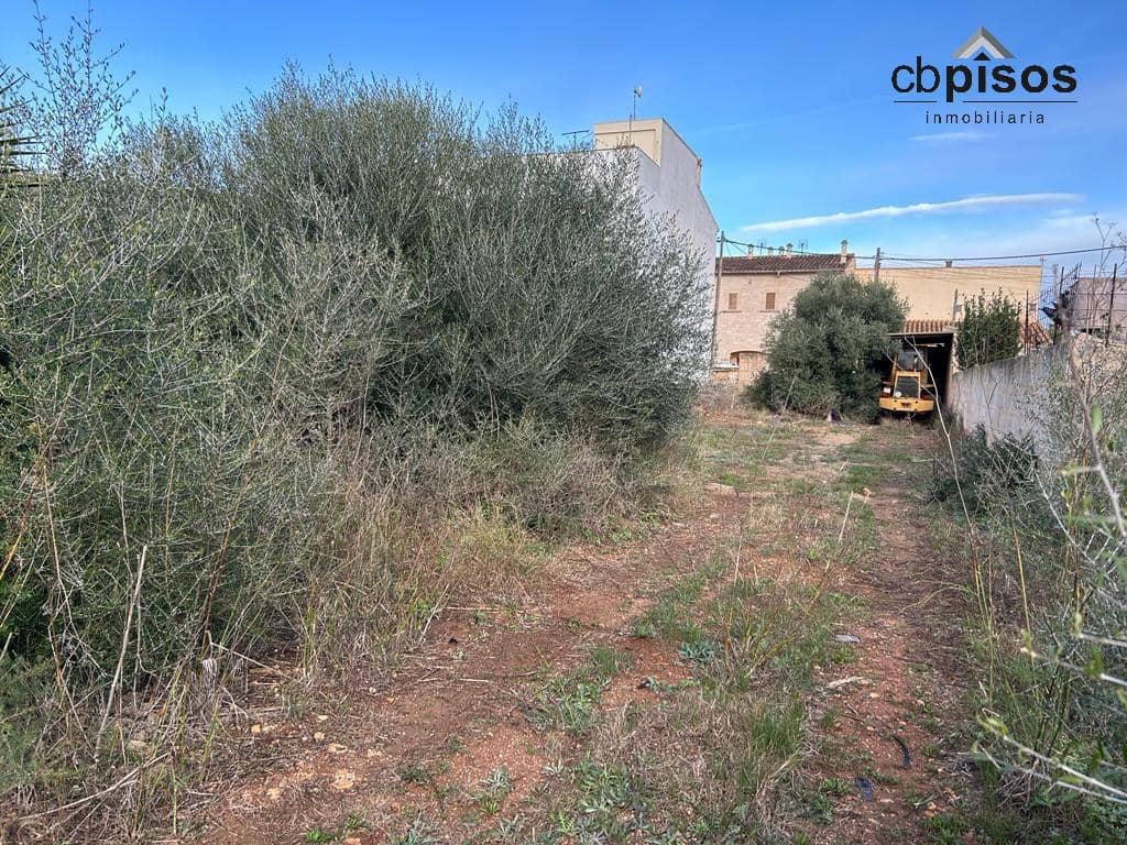 Byggetomt til salgs i Ses Salines - € 550 000 (Ref: 8053463)