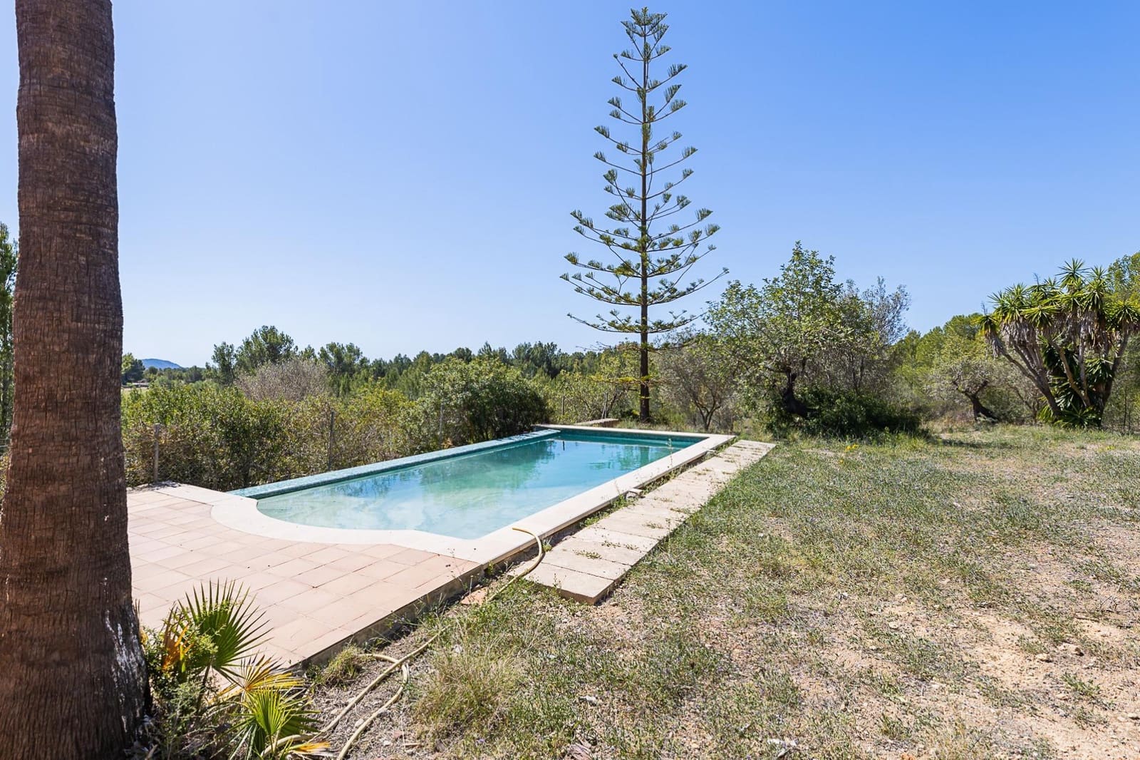 3 chambre Finca/Maison de Campagne à vendre à Calvia - 2 200 000 € (Ref: 8229532)