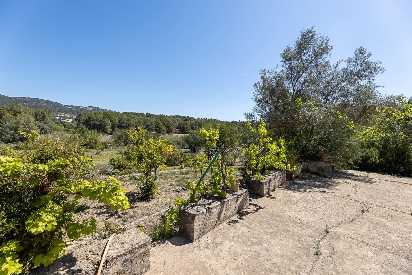 3 chambre Finca/Maison de Campagne à vendre à Calvia - 2 200 000 € (Ref: 8229532)