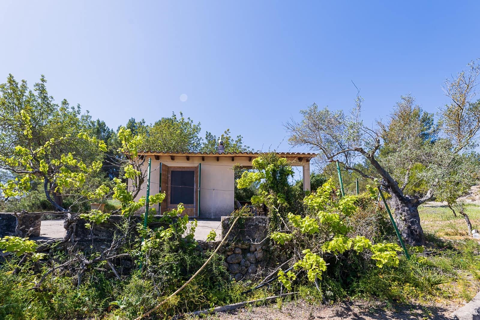 3 chambre Finca/Maison de Campagne à vendre à Calvia - 2 200 000 € (Ref: 8229532)