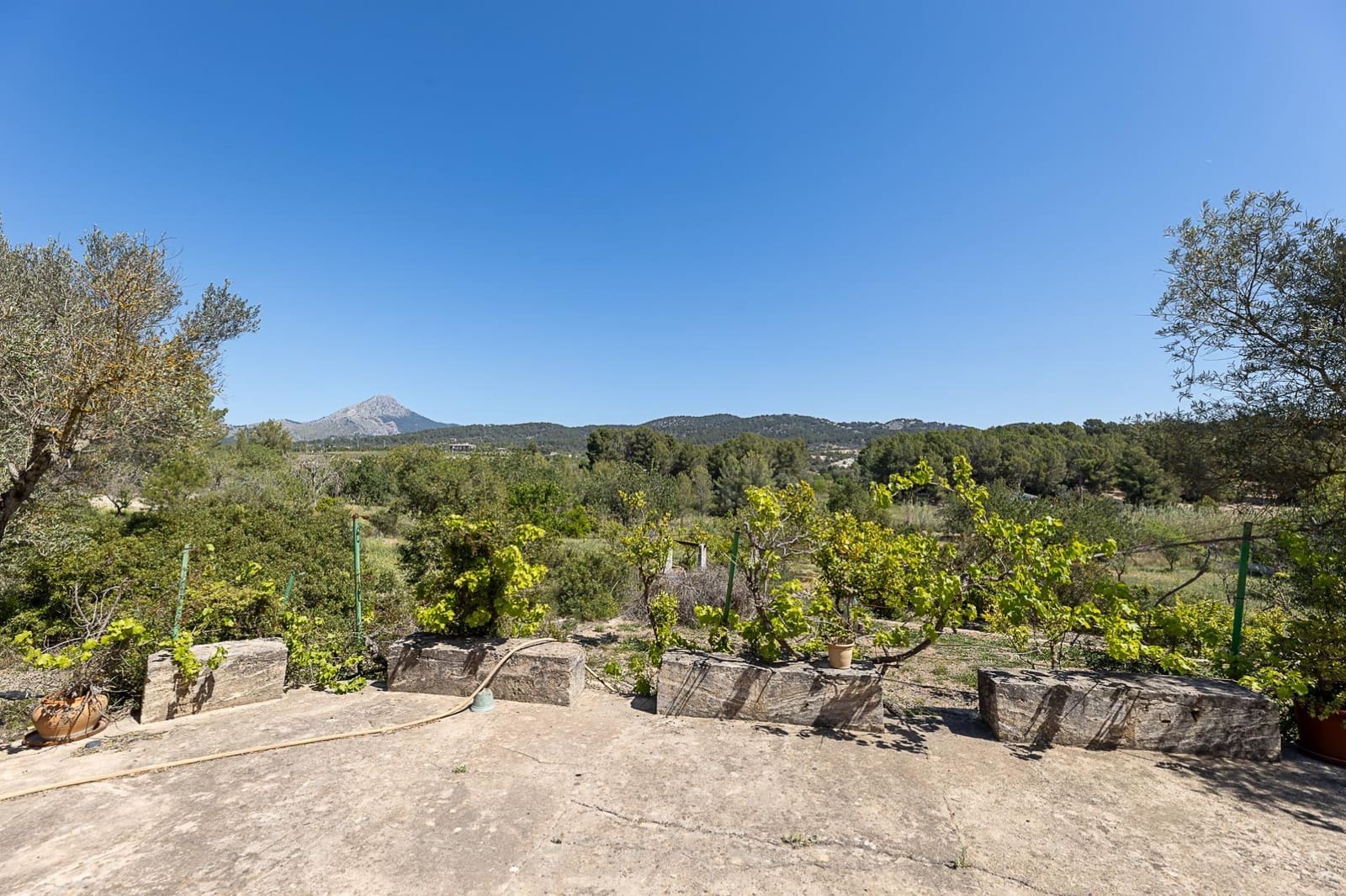 3 chambre Finca/Maison de Campagne à vendre à Calvia - 2 200 000 € (Ref: 8229532)