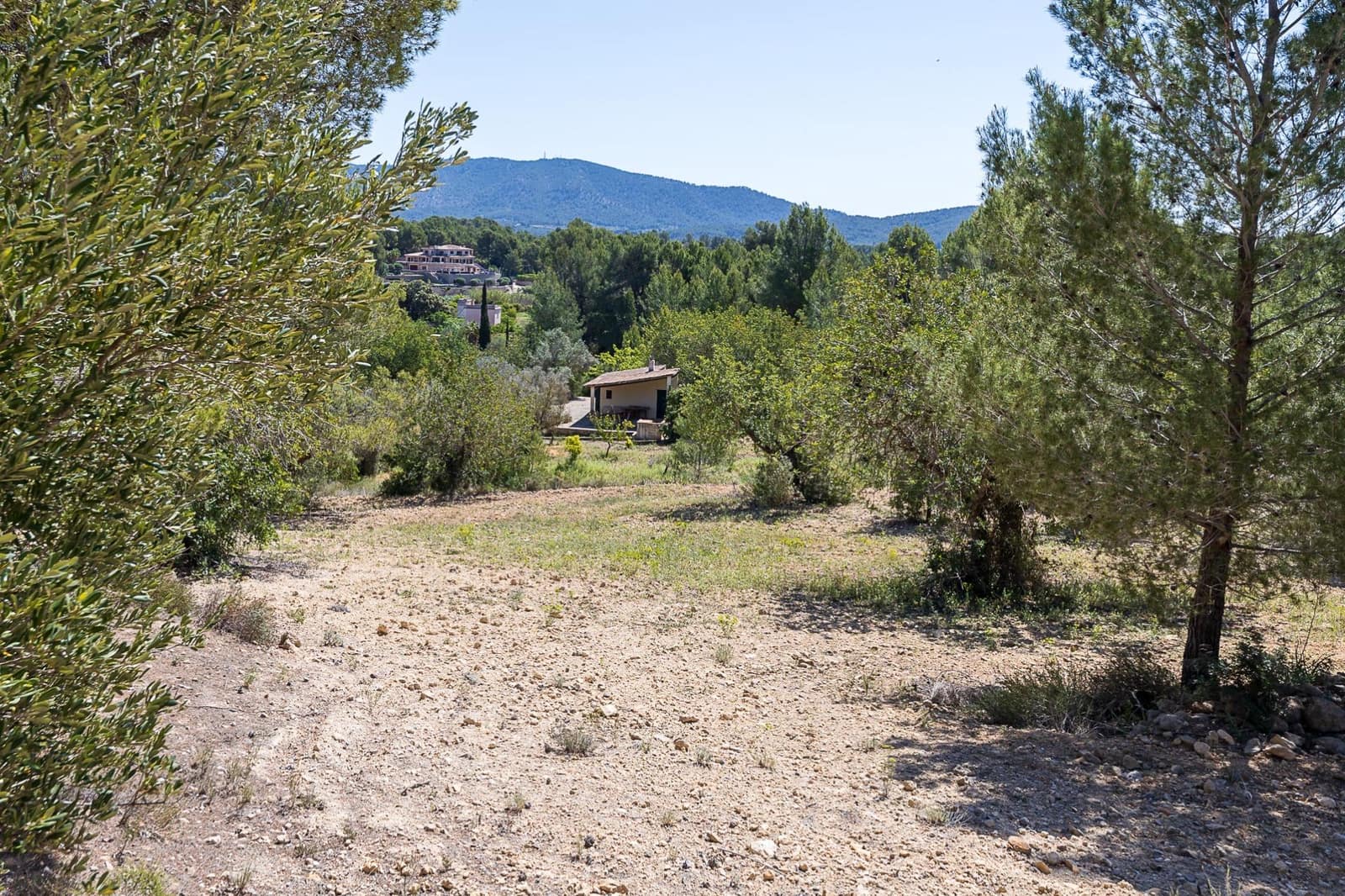3 chambre Finca/Maison de Campagne à vendre à Calvia - 2 200 000 € (Ref: 8229532)