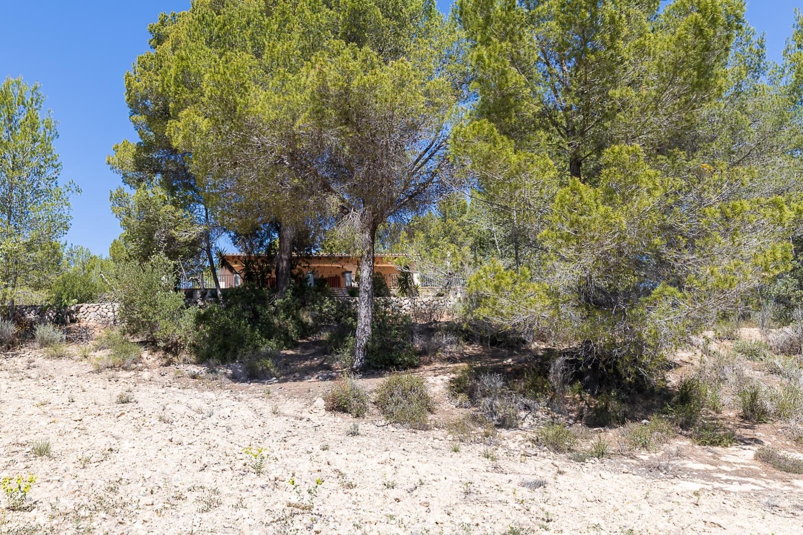 3 chambre Finca/Maison de Campagne à vendre à Calvia - 2 200 000 € (Ref: 8229532)