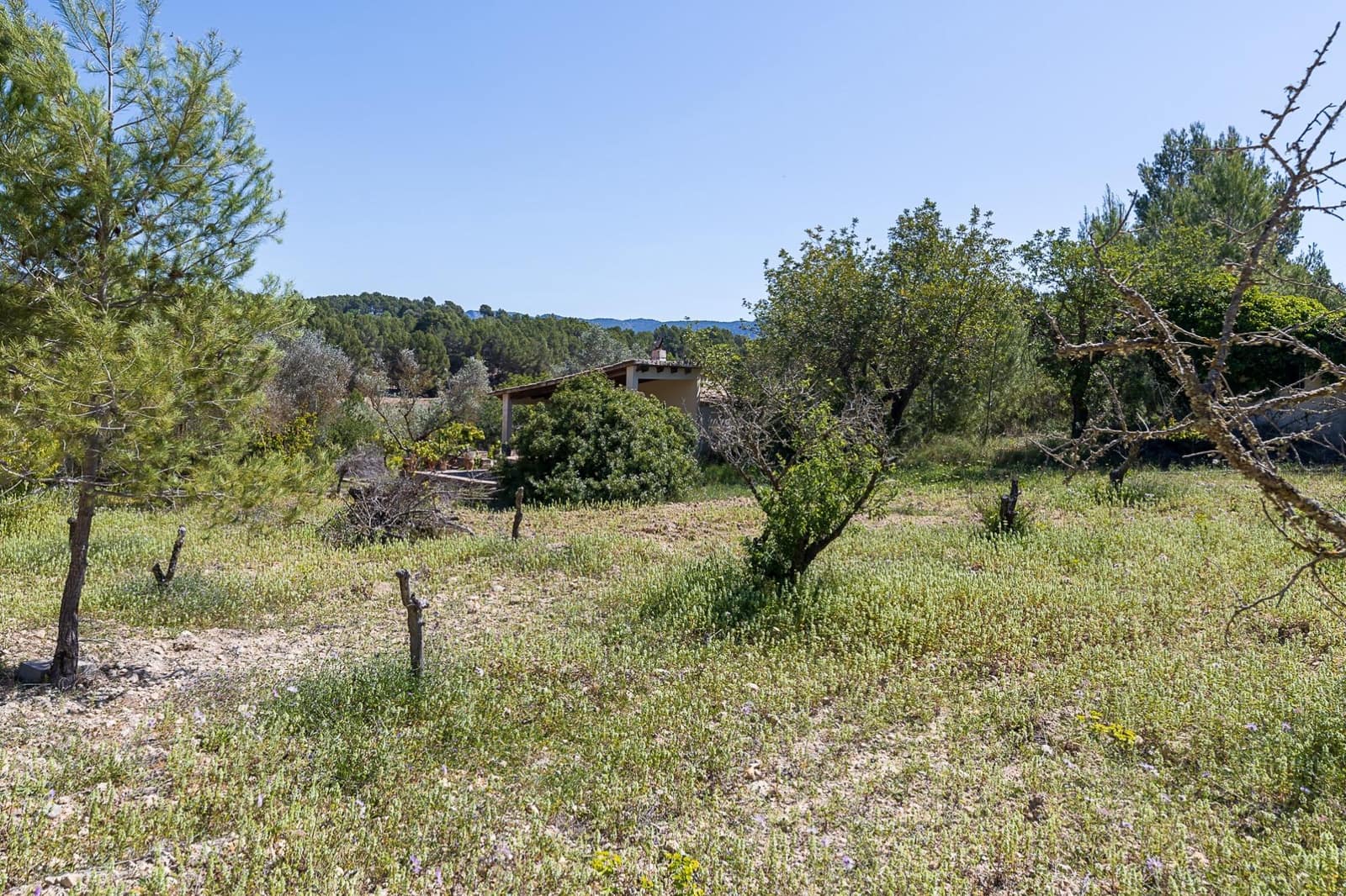 3 chambre Finca/Maison de Campagne à vendre à Calvia - 2 200 000 € (Ref: 8229532)