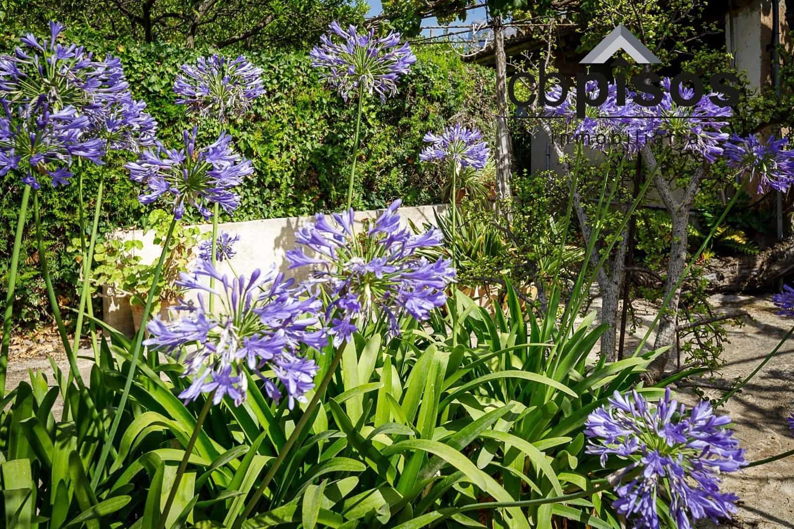 3 soveværelse Finca/Landehus til salg i Puerto de Soller / Port de Soller med garage - € 1.400.000 (Ref: 8423364)