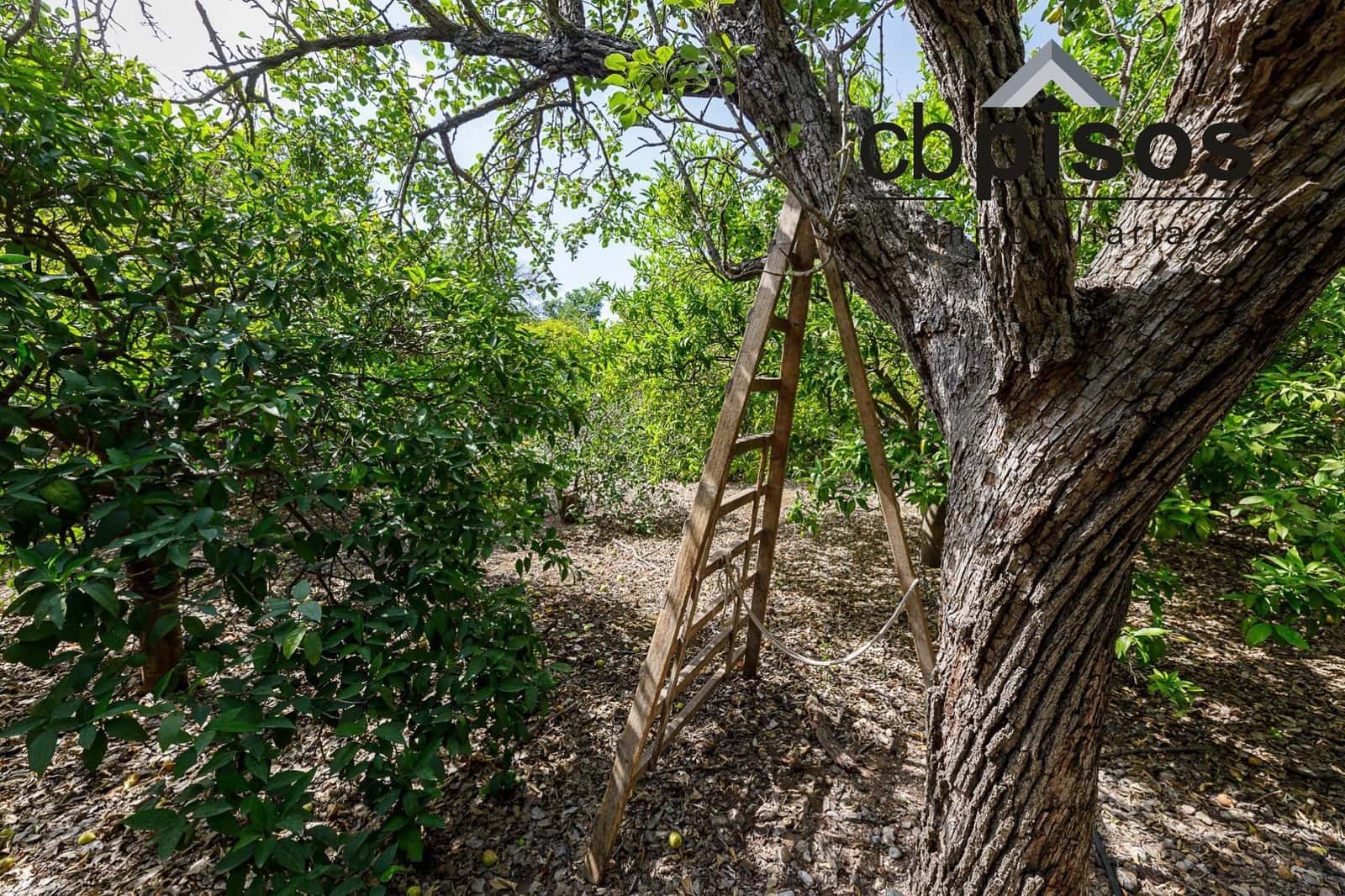 3 soveværelse Finca/Landehus til salg i Puerto de Soller / Port de Soller med garage - € 1.400.000 (Ref: 8423364)